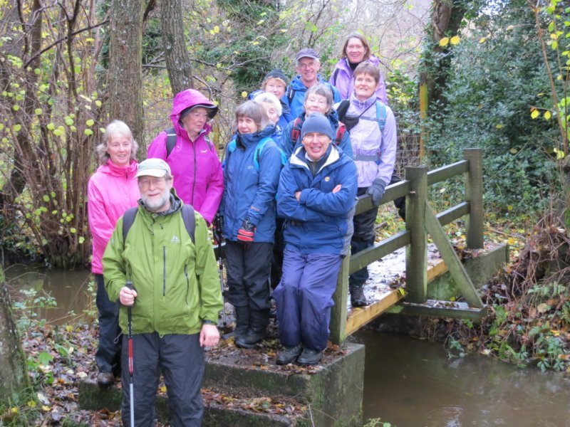 Elstead Walk - 21st November 2012